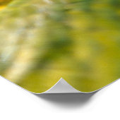 Tropische Macaw Parrot Poster (Hoek)