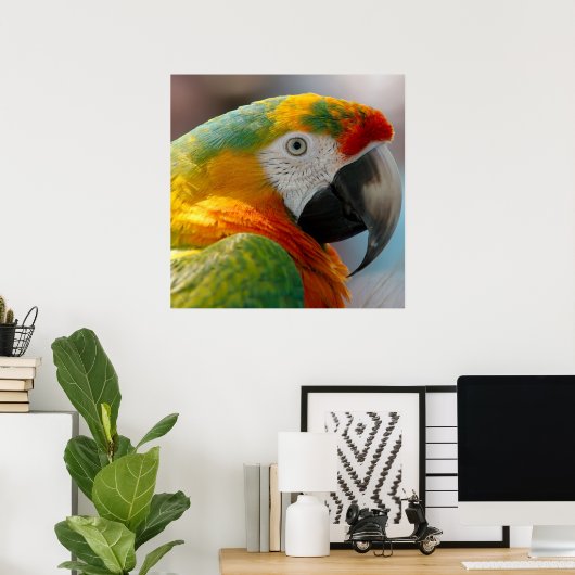Tropische Macaw Parrot Poster (Thuiskantoor)