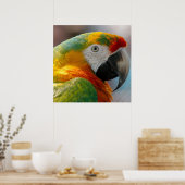 Tropische Macaw Parrot Poster (Keuken)