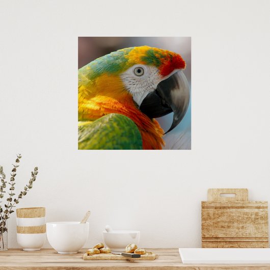 Tropische Macaw Parrot Poster (Keuken)