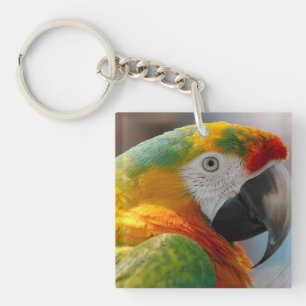 Tropische Macaw Parrot Sleutelhanger