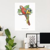 Tropische Macaws Poster (Thuiskantoor)