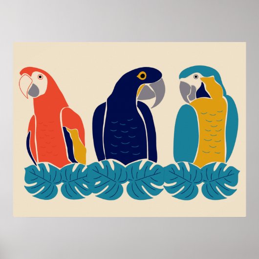 Tropische Macaws, vogelillustraties Poster (Voorkant)