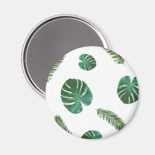 Tropische magneet (Voorkant / Achterkant)