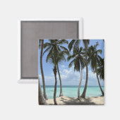 Tropische magneet (Voorkant / Achterkant)