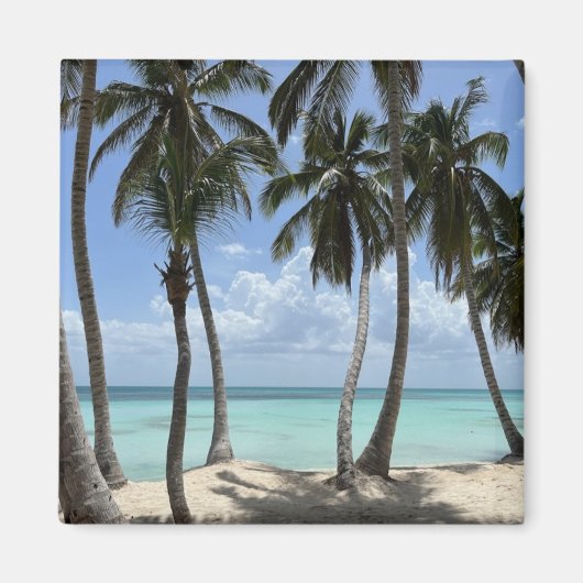 Tropische magneet (Voorkant)