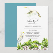 Tropische mangroven en vogelrepetitie