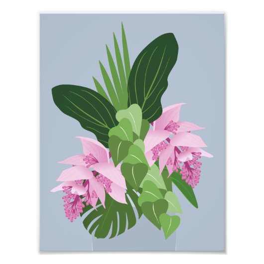 Tropische Medinilla Roze Bloem op Blauw Foto Afdruk (Voorkant)