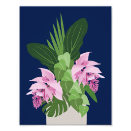 Tropische Medinilla Roze Bloem op Donkerblauw Foto Afdruk