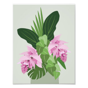 Tropische Medinilla Roze Bloem op Groen Foto Afdruk