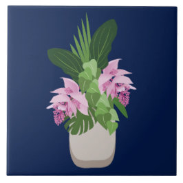 Tropische Medinilla Roze Bloem Vaas op Donkerblauw Tegeltje