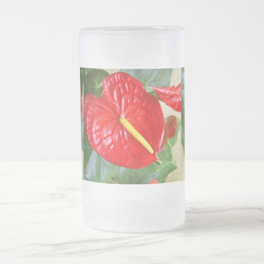 Tropische Mok van de vorst (Center)