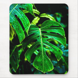Tropische Monstera Gloed – Junglebladfotografie Muismat