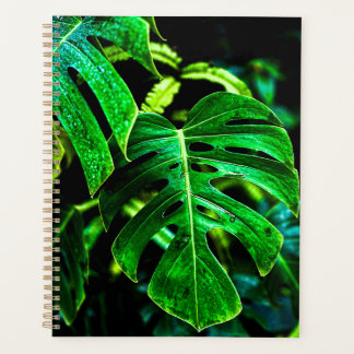 Tropische Monstera Glow – Junglebladfotografie Planner
