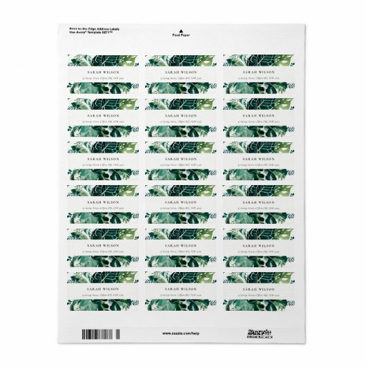 Tropische monstera Green Foliage Leafy Address Etiket (Full Sheet)