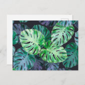 Tropische monstera Leaves Briefkaart (Voorkant / Achterkant)