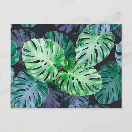Tropische monstera Leaves Briefkaart (Voorkant)