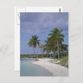 Tropische Montages Briefkaart (Voorkant / Achterkant)