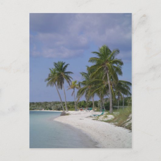 Tropische Montages Briefkaart (Voorkant)