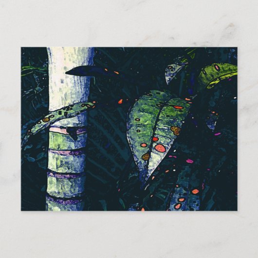 Tropische nacht briefkaart (Voorkant)