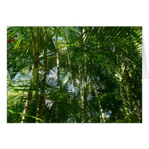 Tropische Natuur bos van palmbomen