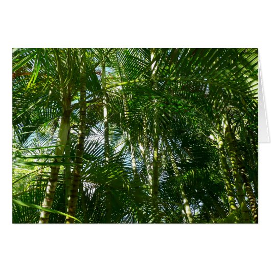 Tropische Natuur bos van palmbomen (Voorkant Horizontaal)