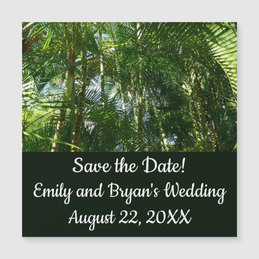 Tropische Natuur bos van palmbomen (Voorkant)