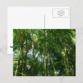 Tropische Natuur bos van palmbomen Briefkaart (Voorkant / Achterkant)