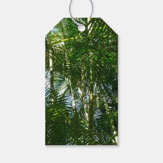 Tropische Natuur bos van palmbomen Cadeaulabel (Voorkant)