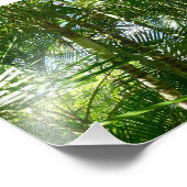 Tropische Natuur bos van palmbomen Foto Afdruk (Hoek)