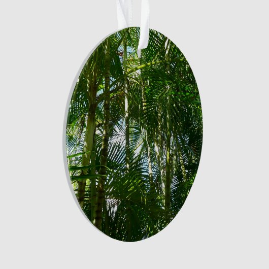 Tropische Natuur bos van palmbomen Ornament (voorkant)