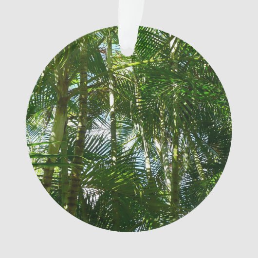 Tropische Natuur bos van palmbomen Ornament (voorkant)