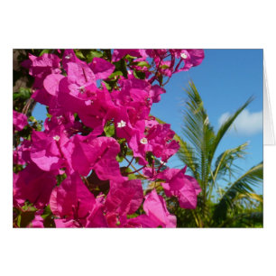 Tropische Natuur van Bougainvillea en Palm