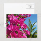 Tropische Natuur van Bougainvillea en Palm Briefkaart (Voorkant / Achterkant)