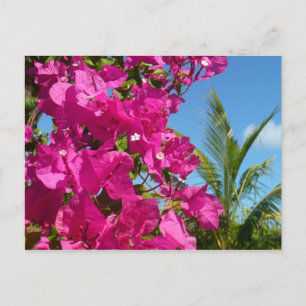 Tropische Natuur van Bougainvillea en Palm Briefkaart