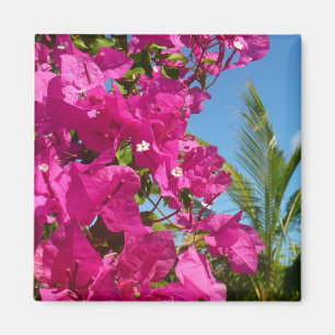 Tropische Natuur van Bougainvillea en Palm Magneet