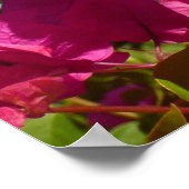Tropische Natuur van Bougainvillea en Palm Poster (Hoek)