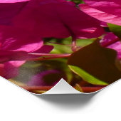 Tropische Natuur van Bougainvillea en Palm Poster (Hoek)
