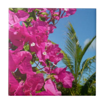 Tropische Natuur van Bougainvillea en Palm