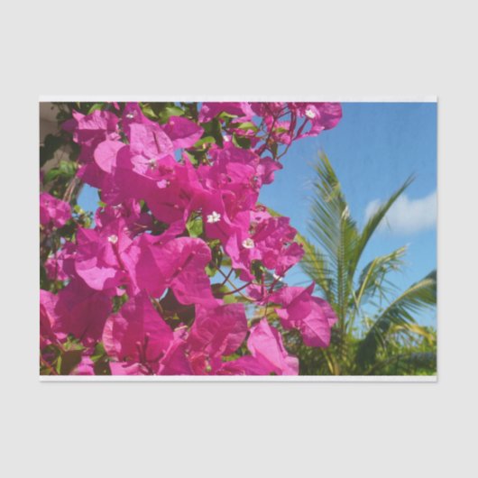 Tropische Natuur van Bougainvillea en Palm Tissuepapier (Voorkant)