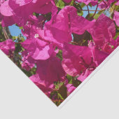 Tropische Natuur van Bougainvillea en Palm Tissuepapier (Detail)