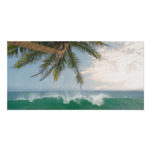 Tropische oceaangolf en kokospalmboom perfect poster