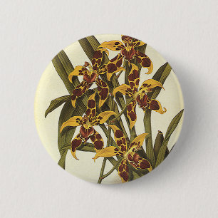 Tropische Odontoglossum Orchid Flowers Ronde Button 5,7 Cm