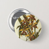 Tropische Odontoglossum Orchid Flowers Ronde Button 5,7 Cm (Voorkant /achterkant)