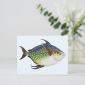  tropische ofah vis, zeewaterdier briefkaart (Staand voorkant)