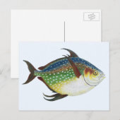  tropische ofah vis, zeewaterdier briefkaart (Voorkant / Achterkant)