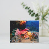 Tropische onderzeese koraal Clam Seashells Briefkaart (Staand voorkant)