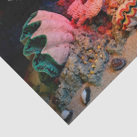 Tropische onderzeese koraal Clam Seashells Tissuepapier (Detail)