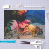 Tropische onderzeese koraal Clam Seashells Tissuepapier (Craft)