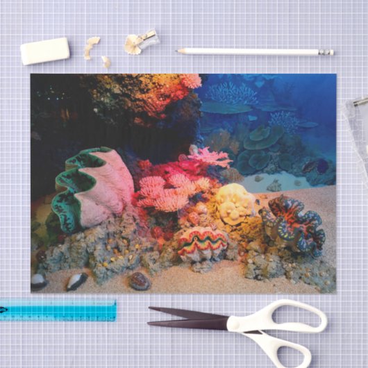 Tropische onderzeese koraal Clam Seashells Tissuepapier (Craft)